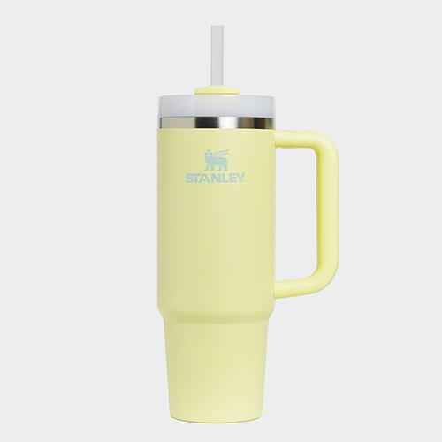 Kids' Stanley Water Bottles